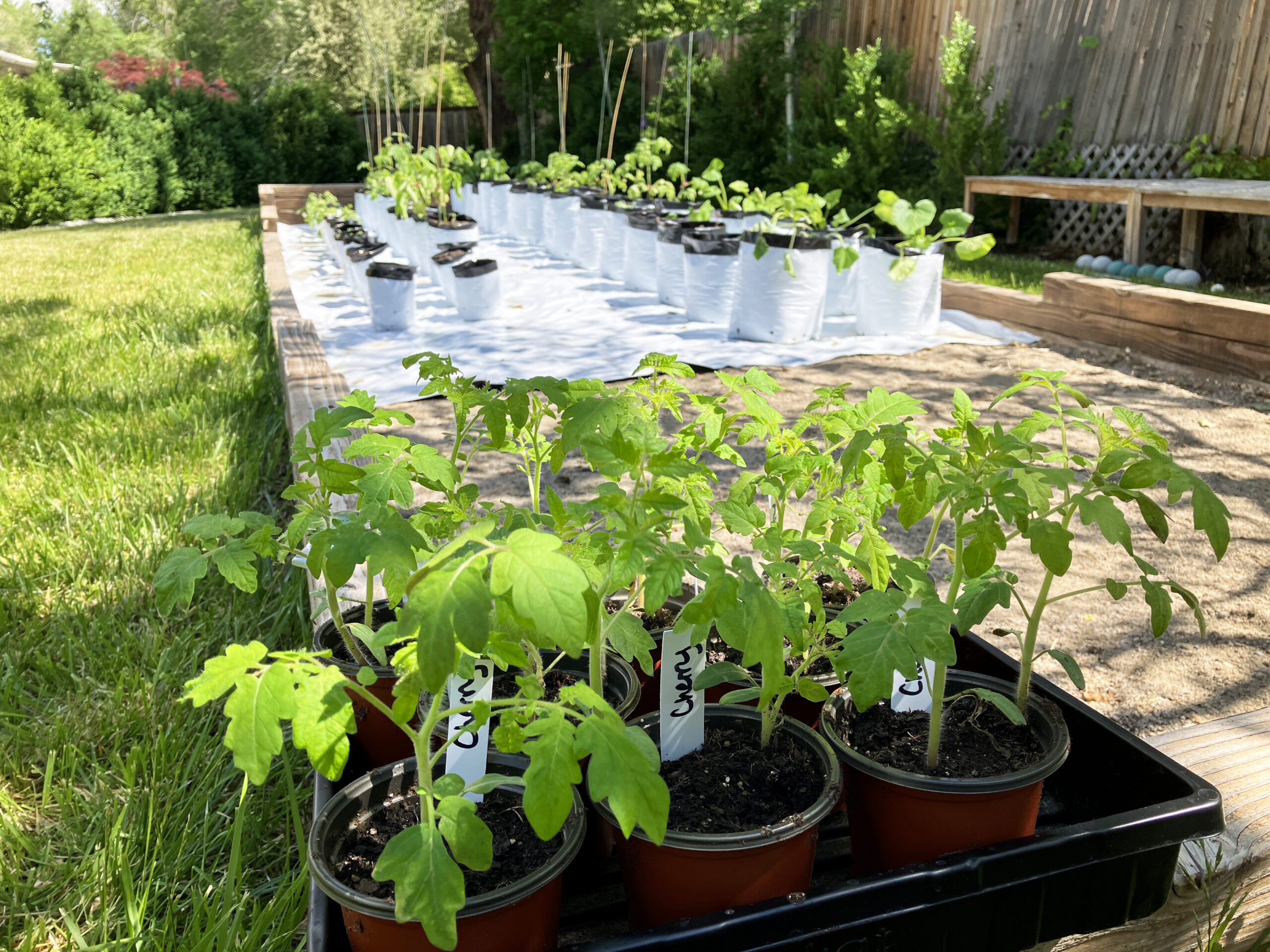 Grow Anywhere Garden